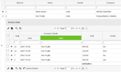 phpgrid|php grid for detail editing.
